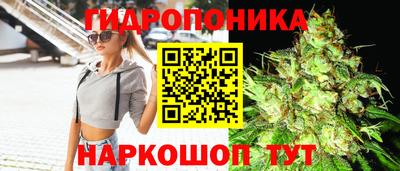 спиды Краснознаменск