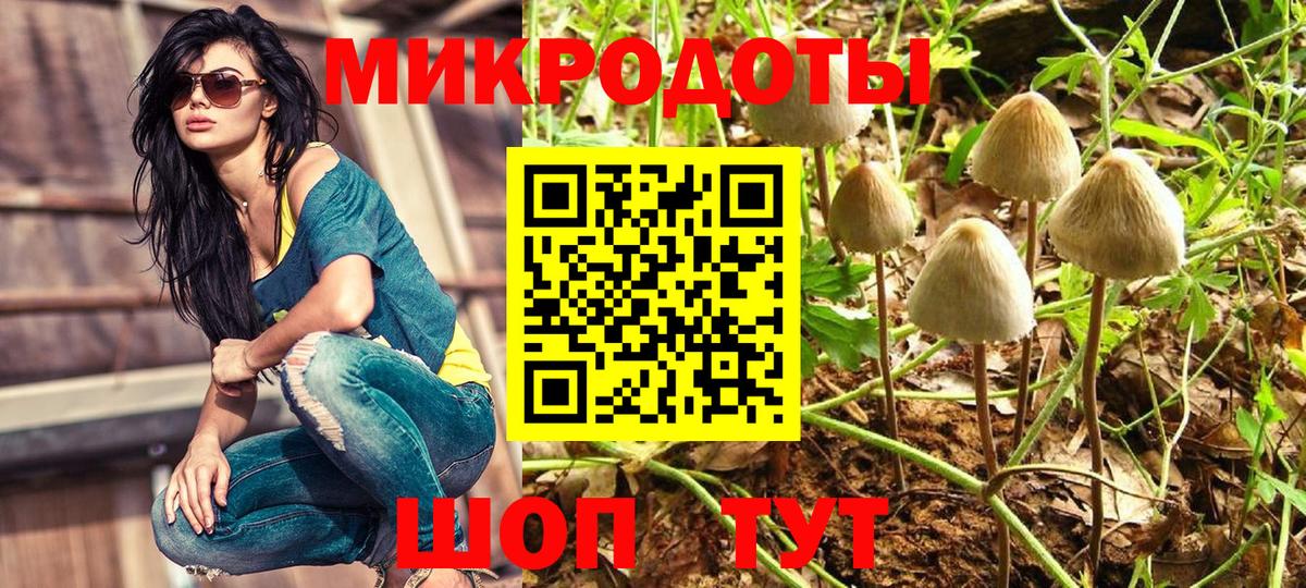 Галлюциногенные грибы MAGIC MUSHROOMS  Галлюциногенные грибы Psilocybe  Вход с VPN  Зима 